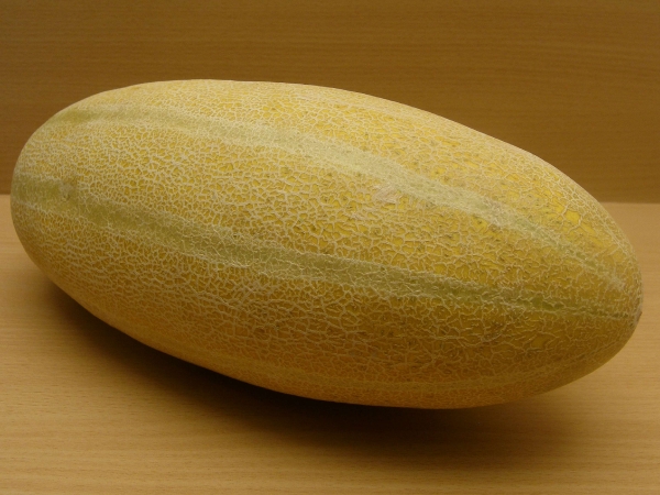 بطیخ